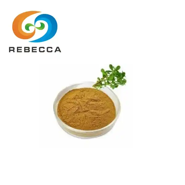 Best Bacopa Extract